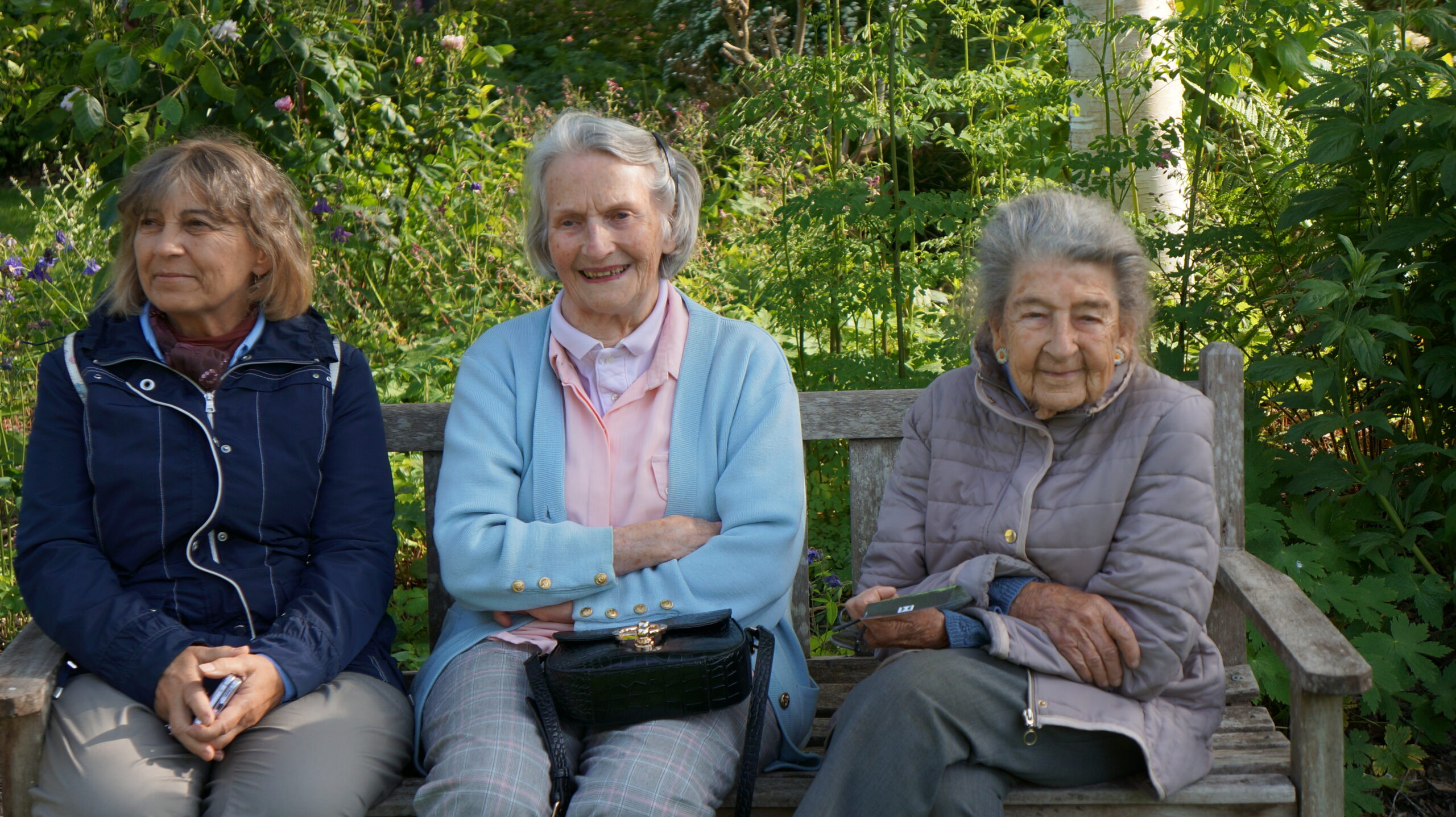 les activités de l'apjv les activités de l'apjv