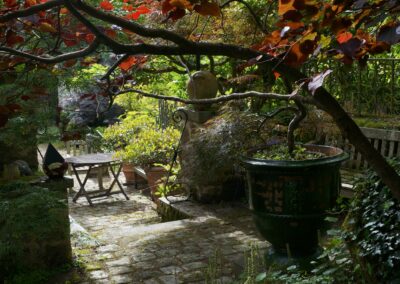 les activités de l'apjv