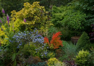 les activités de l'apjv