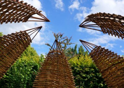 les activités de l'apjv