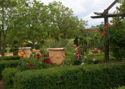 les activités de l'apjv