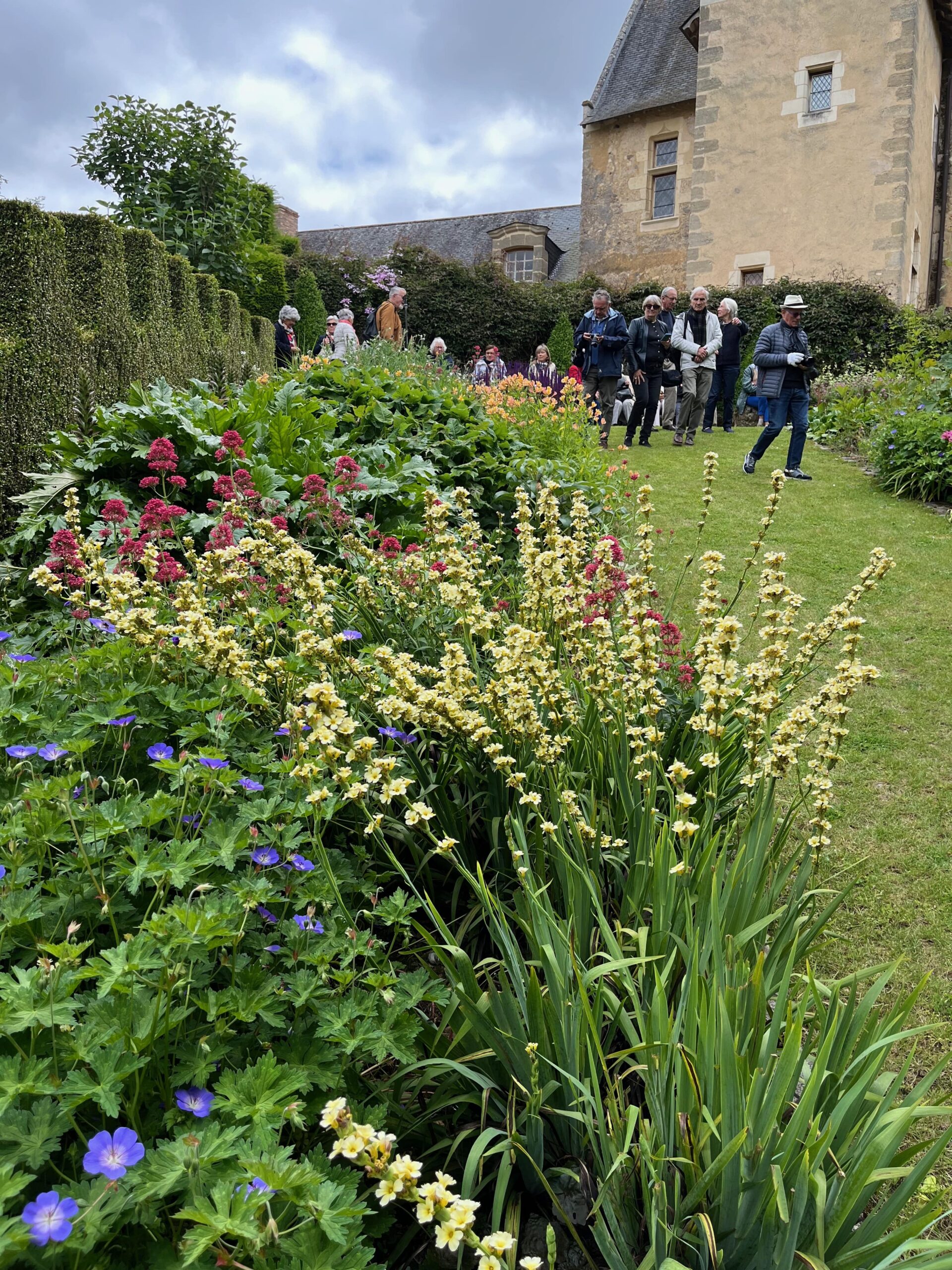 les activités de l'apjv les activités de l'apjv