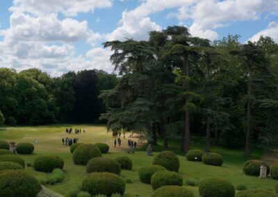 les activités de l'apjv