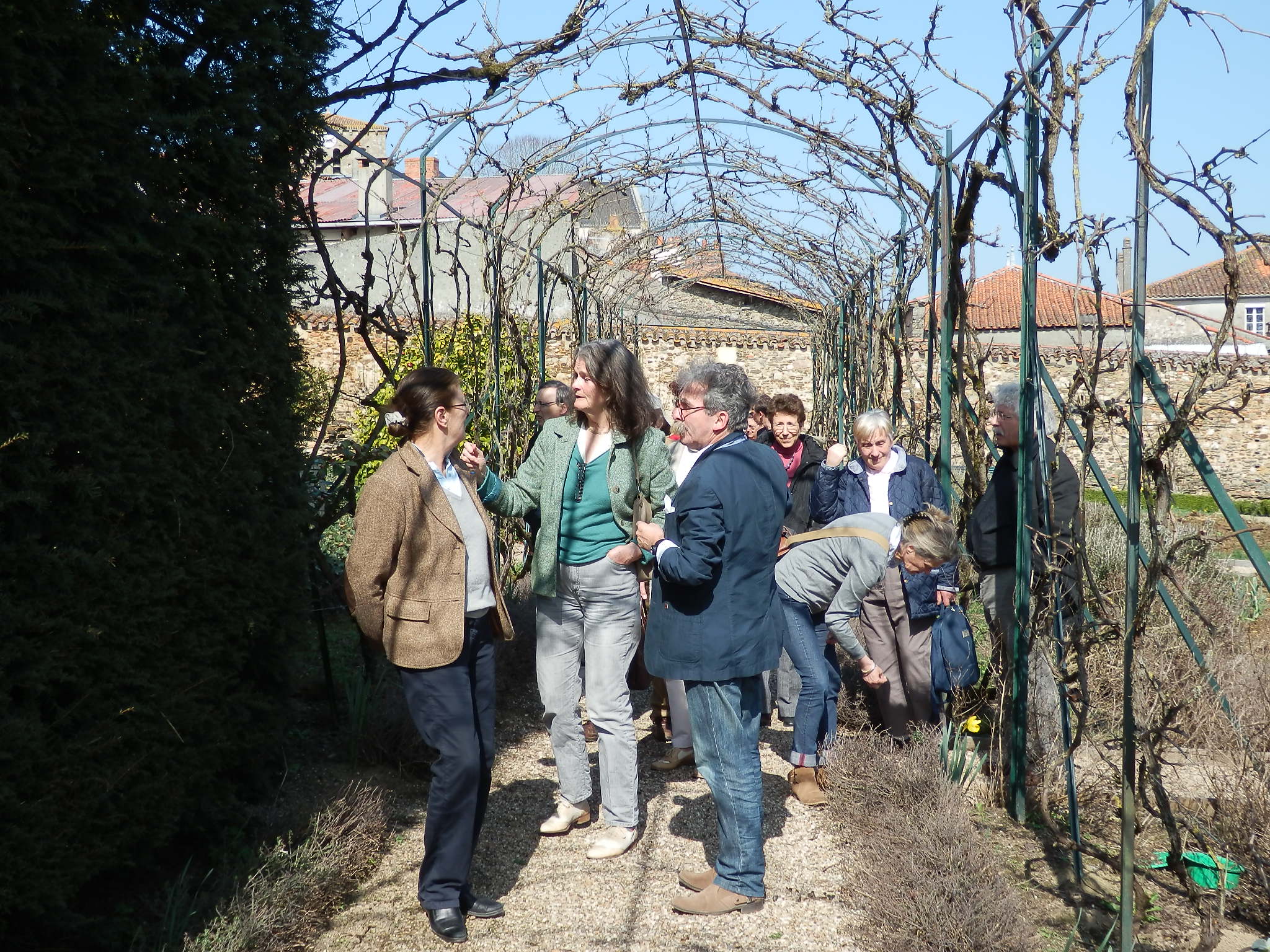 les activités de l'apjv les activités de l'apjv