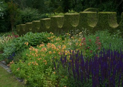 les activités de l'apjv