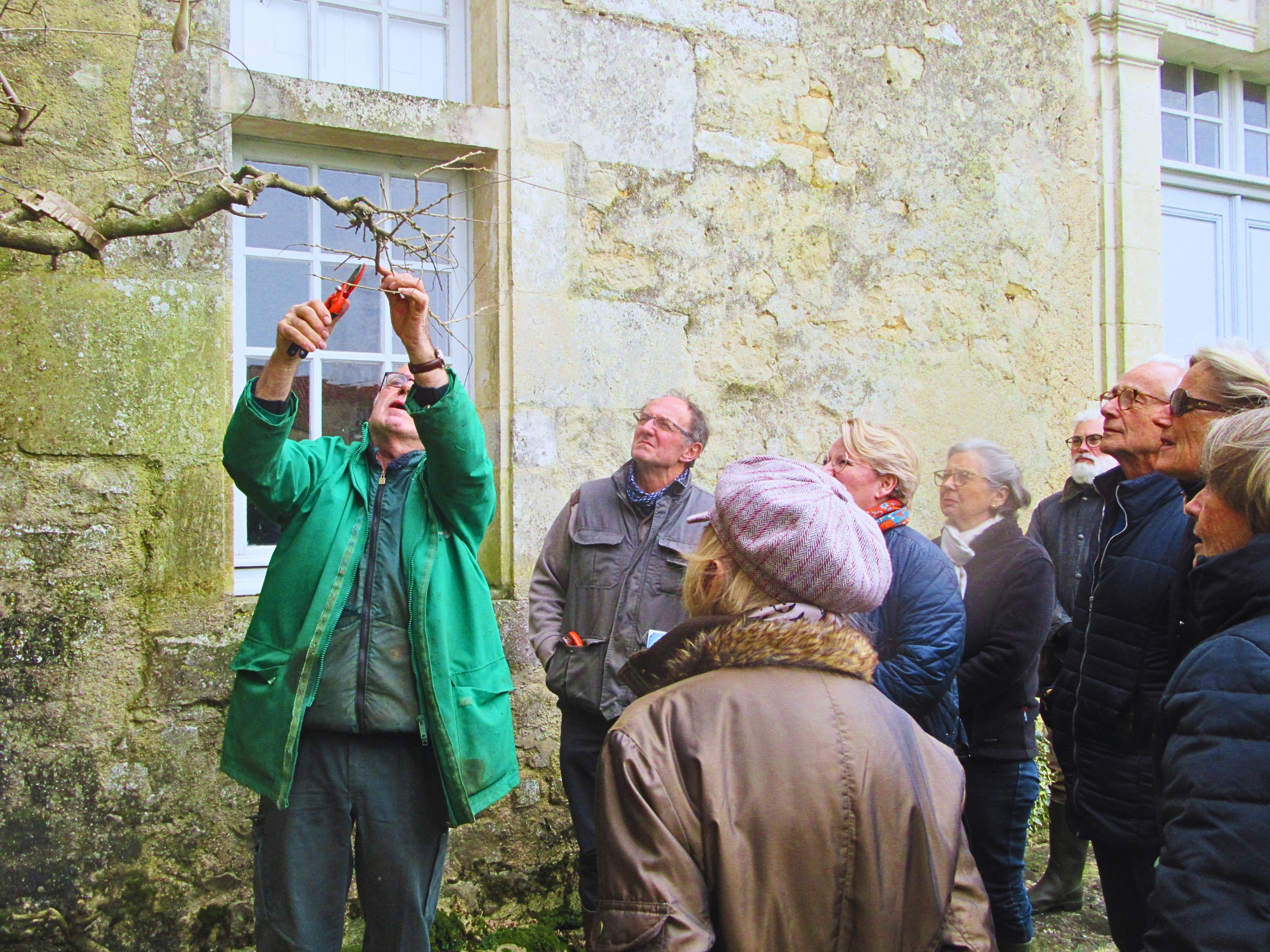 les activités de l'apjv les activités de l'apjv